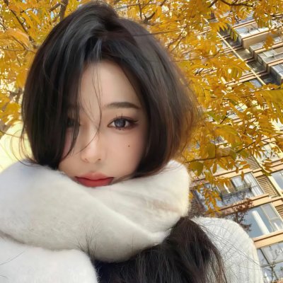 西尔维娅传 海报